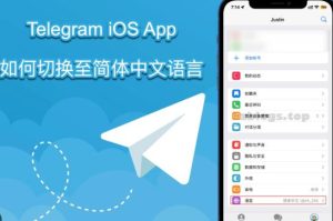 在 Telegram 中激活中文语言包：如何完成